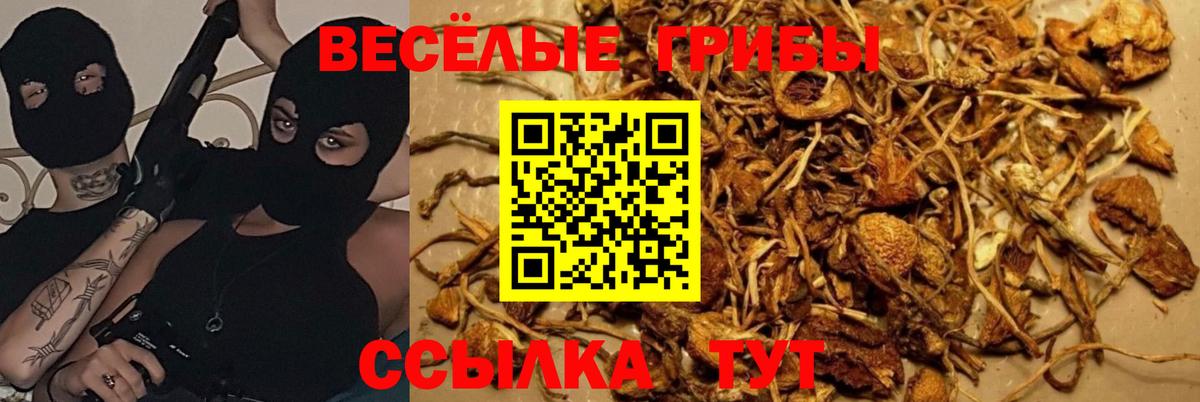 Псилоцибиновые грибы ЛСД Аксай